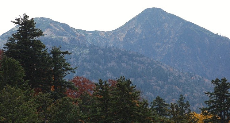 尾瀬御池登山口から小沢平間の標高約１４００ｍ地点より望む、東北以北の最高峰・尾瀬のシンボル　１００名山・名峰　燧ケ岳（標高２３５６ｍ）