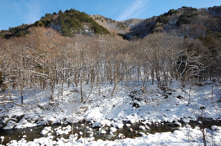 尾瀬野の宴会場・越後より、白銀の雪景色に染まる、清流桧枝岐川渓谷と、標高９５０ｍ以上の深山・檜枝岐村の山々を望む。(２０１６年１２月１２日）