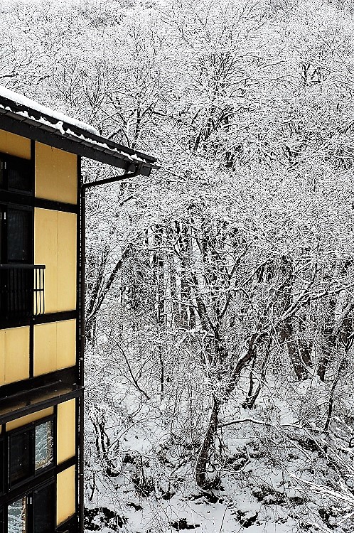 まさに芸術美とも思える美しさで、冬の雪景色の奥深さに、心洗われる朝でした。