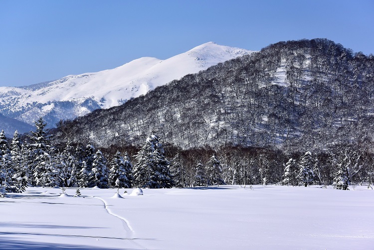 到着した尾瀬ヶ原は、厳冬のまさに別世界。奥に見えるのが、尾瀬ヶ原のそして尾瀬国立公園の名峰・至仏山（標高2228ｍ）です。