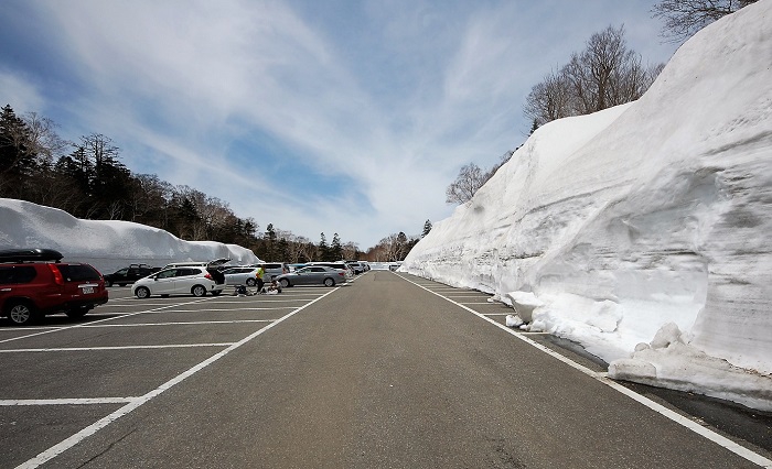 標高１５５０ｍの尾瀬・御池登山口駐車場。この駐車場付近にも多くの可憐な高山植物の群生が見られます。