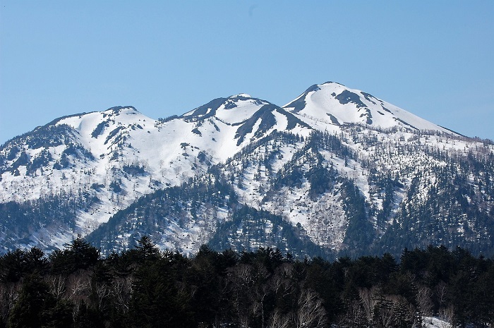 尾瀬沼・大江湿原より望む尾瀬のシンボル、燧ケ岳（標高２３５６ｍ）。広大な針葉樹林帯の奥に見える燧ケ岳の姿は、四季折々に、いつどんな時に望んでも美しく感動的な光景です。