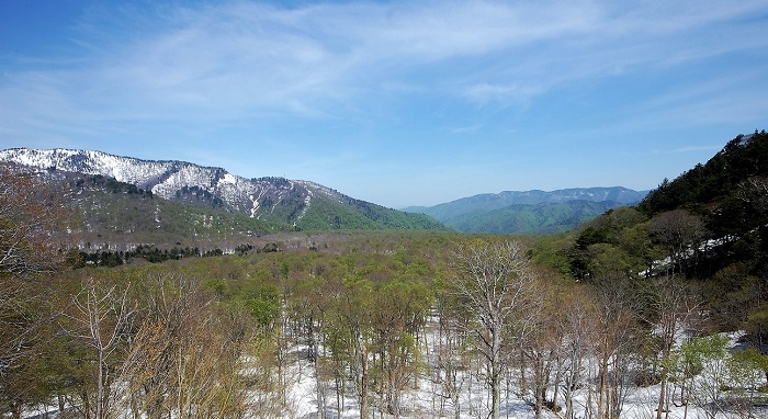 尾瀬御池登山口から尾瀬沼山峠登山口間には、美しい大自然の光景を望む場所も数多くありますが、シャトルバスより望む、尾瀬ブナ平の光景は、四季折々に美しく雄大で、尾瀬国立公園のブナの原生林の素晴らしさを望める景観でございます。