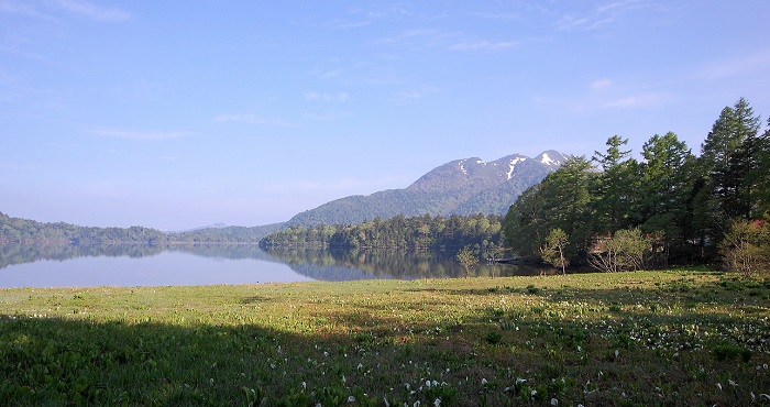 広大な美しい水芭蕉の群生と、ダケカンバや針葉樹林帯に包まれ、多くの湿原が点在する尾瀬沼の奥に、残雪残る燧ケ岳を望む。