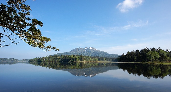 尾瀬沼のほとりの大きなモミジの木の下から、ダケカンバの新緑や針葉樹林帯の奥に東北以北の最高峰・燧ケ岳(標高２３５６ｍ）を望む。逆さ燧も本当に美しく、原始的かつ、神秘的な尾瀬沼の最高の景観ともいえると思います。