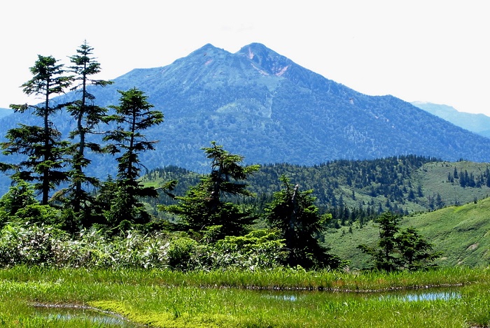 会津駒ケ岳・駒の小屋下の大湿原の池塘の奥に、東北以北の最高峰・燧ケ岳を望む。今年も山開きの季節となりました。多くの人々に、会津駒ケ岳や、燧ケ岳に訪れていただきたいと思います。

