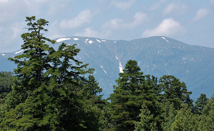 尾瀬国立公園　裏燧林道・上田代湿原より、日本百名山・平ヶ岳(標高２１４１ｍ）の雄大な景観を望む。