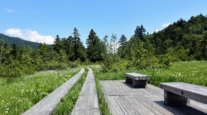 裏燧林道・上田代湿原の隣の湿原にも、しっかりとした休憩用のベンチが設置されております。