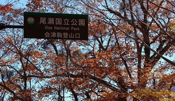今年、平成２９年・２０１７年は、尾瀬国立公園編入１０周年の記念すべき年でした。会津駒ケ岳も国立公園に編入されてから今年で、１０周年を迎えております。