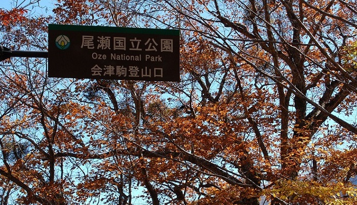 今年、平成２９年・２０１７年は、尾瀬国立公園編入１０周年の記念すべき年でした。会津駒ケ岳も国立公園に編入されてから今年で、１０周年を迎えております。