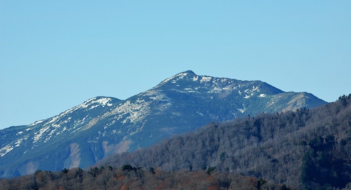 ２０１７年１０月２６日（木）・小沢平ブナ樹海ラインから望む至仏山（標高２２２８．１ｍ）。白く雪化粧した姿が綺麗に見られた日でした。