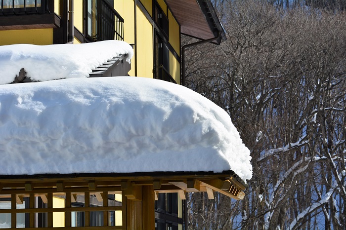 １２月１３日の深夜から一晩で約６０ｃｍの雪が降った、檜枝岐村。今日１２月１７日も１日降り続いており、この先どうなることか。気温の問題もありますが、大雪の冬になりそうな予感です。大雪でも、いつでも準備万端な心掛けが大切ですが、春の木々や美しい花々の芽吹きを楽しみに過ごしてゆきたいと思います。