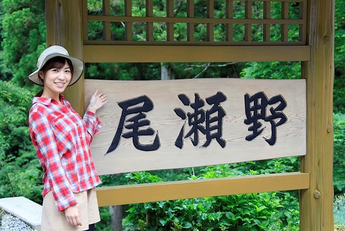 深山の山菜も盛んな、原生林の濃い緑とせせらぎに包まれた、初夏の尾瀬野。