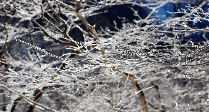 豪雪から厳しい寒さへと続く冬本番の檜枝岐村。冬の厳しさの中でも、素晴らしい雪の自然の美しさを教えてくれる、冬の光と雪の芸術美。氷点下18℃を超える中で形成された、朝日を浴びた雪と光の景観です。
