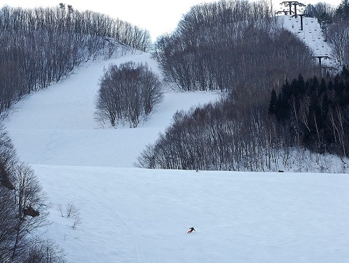 スキー場のゲレンデコンディションも雪が締まり良さそうです（画像は平成３０年１月２０日、AM11時45分頃の高畑スキー場・猪谷ゲレンデの様子です）。