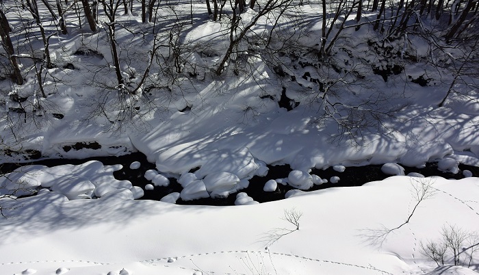 久しぶりの晴天となった２０１８年１月２９日(月）、尾瀬野の屋根の雪下ろしにて屋根の上から、桧枝岐川渓谷を撮影。小動物の足跡も見えます。