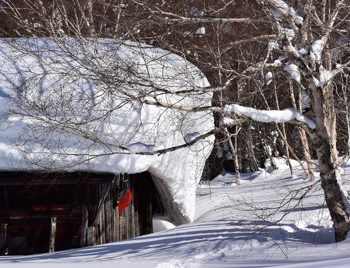 今年も尾瀬野の隣に住んでおられる、尾瀬ヶ原休憩所さんの雪下ろし作業を手伝いました。これほどの雪が屋根の上に積もっても、びくともしないように造られてはいますが、今年は積雪も少ない方でした。