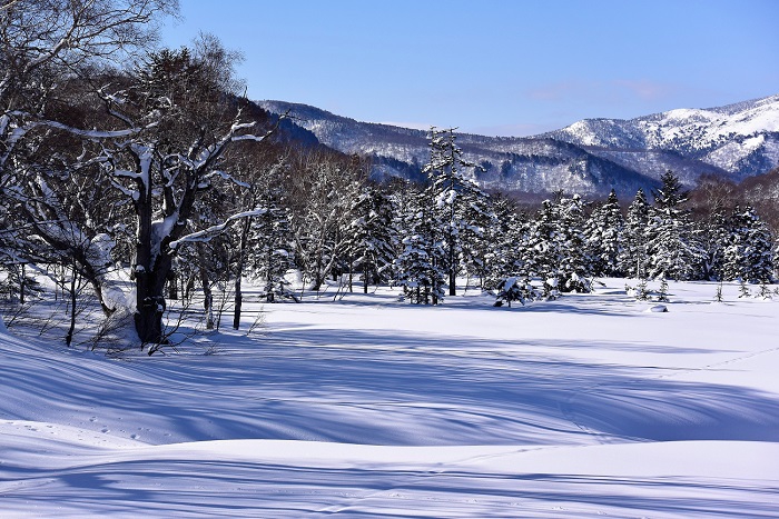 厳冬の晴天の中で見る針葉樹林や原生林に着雪した雪景色と、山々の大自然の景観。尾瀬はいつ訪れても、本当に美しい大自然の景観に出会えますね。