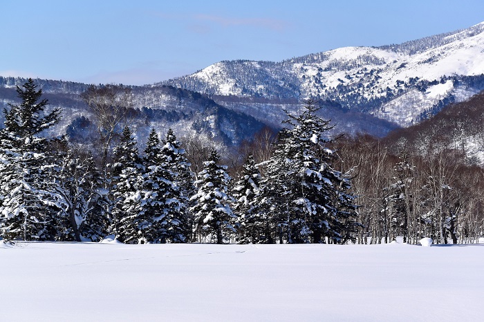 厳冬の晴天の中で見る針葉樹林に着雪した雪景色と、山々の大自然の景観。尾瀬はいつ訪れても美しい感動の大自然の宝庫に出会える素晴らしい国立公園です。