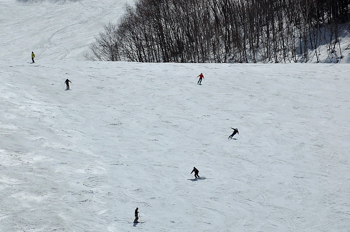 ３月に入り雪解けもかなり進みましたが、スキー場のゲレンデコンディションは残雪も比較的多く、雪が締まり、良い状態のままシーズン終了を迎えられたことと思います(画像は３月２４日・会津高原高畑スキー場、猪谷ゲレンデの様子です）。