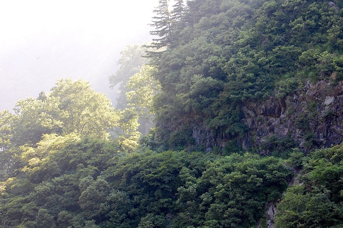 国道３５２号線・雨池橋より望む、日本１００名山・平ヶ岳方面の神秘的な景観です。秘境の郷の大自然という言葉にふさわしい景観が、国道沿いに数多く見られます。秘境の郷・奥只見の大自然の奥の深さを感じる場所です。