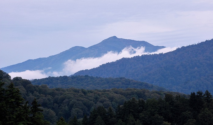 画像は尾瀬ヶ原の名峰・至仏山です。９月１５日にご宿泊された谷合様、燧ケ岳登山の後は至仏山へ登られるということでしたが、無事至仏山を制覇し、今回３つの１００名山を登られ、無事に名古屋へお帰りになられたことと思います。北九州よりおいでいただき、９月１９日に御宿泊の坂下様も明日９月２２日が至仏山登山の日ですね。本当に皆さん、遠い所おいでいただきまして有難うございました。心より感謝いたしております（２０１８年９月１２日・雲海の上に至仏山を望んで）。