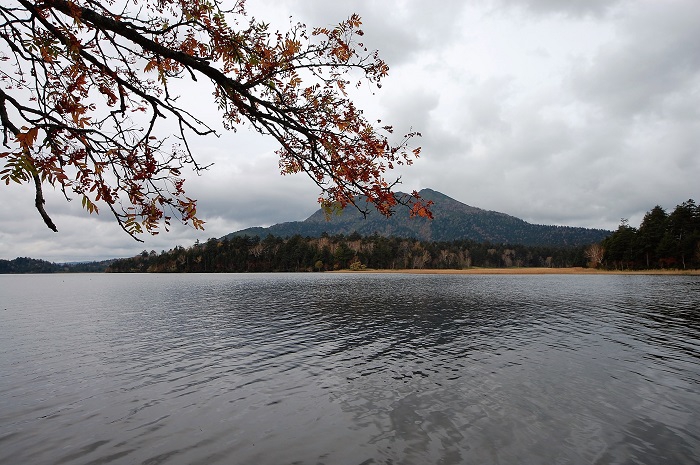 尾瀬沼のほとりよりナナカマドが晩秋の紅葉を迎える中、雄大な燧ケ岳と神秘的な尾瀬沼の姿を望む。暗く曇っていようが、これほどの美しく雄大な光景を魅せる尾瀬沼の大自然。世界に誇れる大自然です（２０１８年１０月１６日）。
