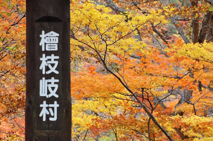 檜枝岐村・下畑地区の渓谷沿いに広がる紅葉の姿です。山々に広がる赤い紅葉も素晴らしい中で、国道沿いから渓谷の紅葉が本当に鮮やかでした（２０１８年１０月２９日）。