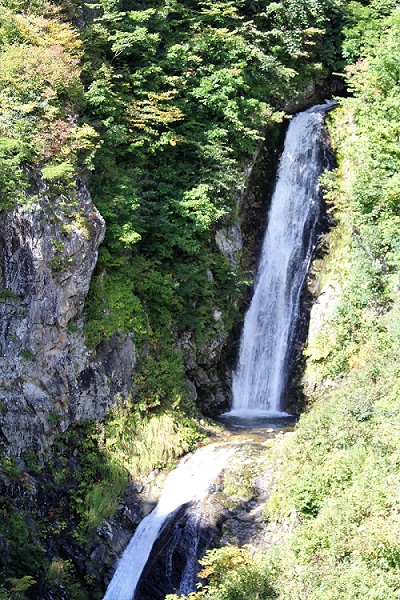 春の新緑から秋の紅葉まで、雄大な会津駒ケ岳の下ノ沢の大自然の中で美しい姿を魅せている竜ノ門の滝です。登山道の開通が、来シーズンも６月頃からになるとは思いますが、機会がございましたら、ぜひ訪れてみてください。