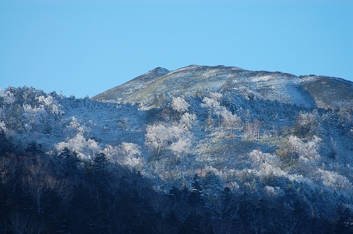 尾瀬御池登山口より、標高約１８００ｍから上の原生林が美しい霧氷の景観に包まれた燧ケ岳・俎嵓を望む（２０１８年１１月１６日）。