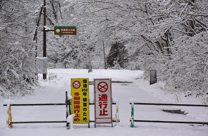 初冬の積雪で霧氷の景観に染まる国道３５２号線。今年の春から秋の季節、この国道を通り、尾瀬国立公園や奥只見湖方面へおいでいただいた御客様、本当に有難うございました。尾瀬国立公園では来年も雪解けとともに美しく可憐な花々のシーズンが訪れますので、ぜひまたお越しくださいませ（２０１８年１１月２３日・七入り通行止め地点にて）。