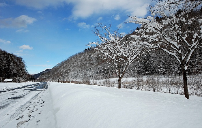 澄み渡る青空の元、ミニ尾瀬公園の霧氷と白銀の雪景色の光景が美しく見られました（２０１８年１２月１９日）。