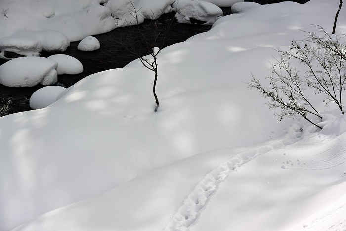 尾瀬野より望む冬の雪化粧した檜枝岐川渓谷の白銀の光景です。足跡が見えますが、国の特別天然記念物に指定されております、ニホンカモシカの足跡です(２０１９年１月１日・午前１０時頃撮影）。