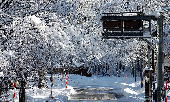 檜枝岐村・下畑地区の霧氷の光景ですが、まるで霧氷のトンネルのようですね（２０１８年１２月２１日）。