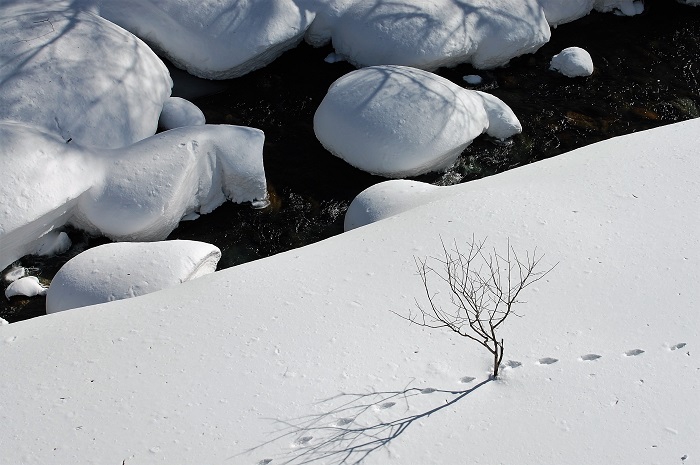 ２０１９年１月３０日(水）の屋根の雪下ろし中に、屋根の上から見た清流檜枝岐川渓谷の白銀の雪景色の様子です。小動物の足跡が見えます。