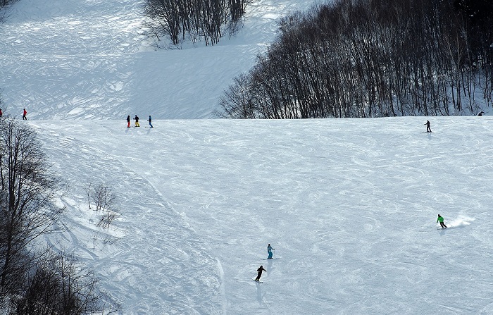 会津高原高畑スキー場の様子です(２０１９年１月２６日）。