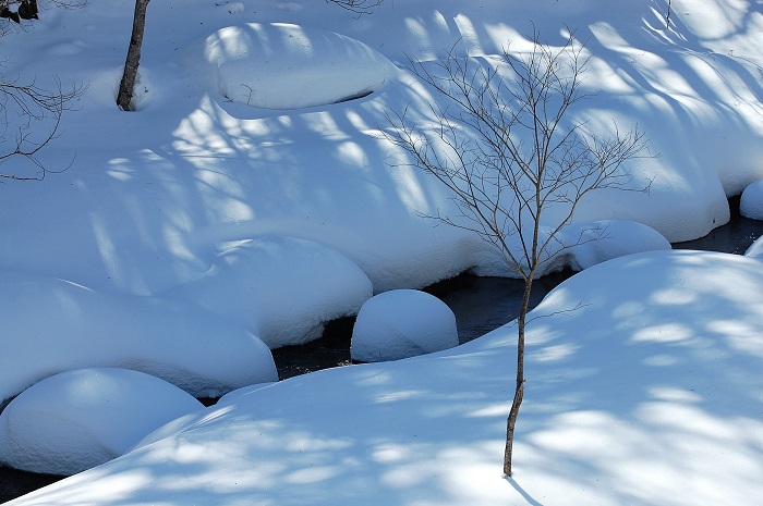 ２０１９年２月３日(日）、尾瀬野の浴室より望む清流檜枝岐川渓谷の白銀の雪景色の様子です。
