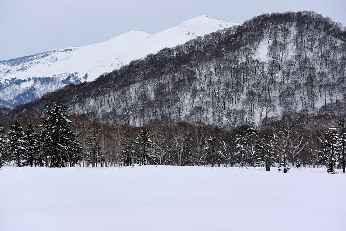 尾瀬ヶ原赤田代の温泉地区に着陸して望む厳冬の至仏山（標高２２２８ｍ）の様子は、美しくとても幻想的でした。燧ケ岳とともに尾瀬国立公園を代表する至仏山は四季折々にいつ見ても雄大で本当に美しい名峰です。