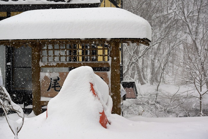 ロータリー除雪機が半分埋まるくらいの降雪量に驚きとともに、ため息がもれました。毎年このくらいの降雪量を記録することがある３月ですが、少なめの積雪量だったスキー場にとっては、恵みの降雪だったことと思います。