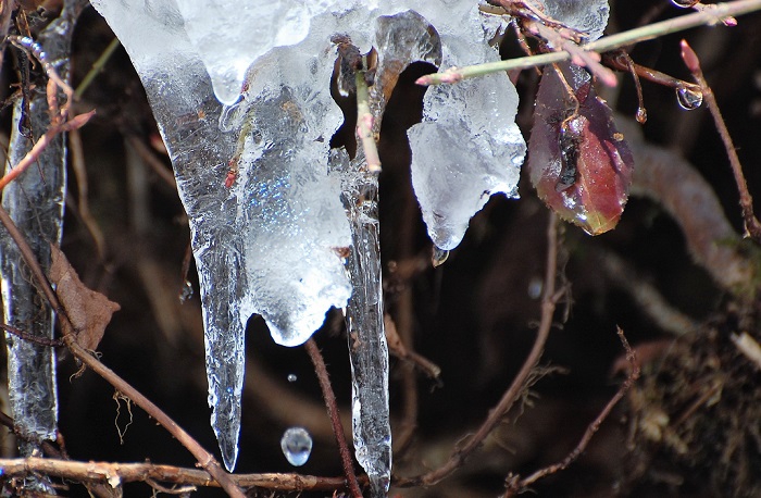 雪解け進む中でふと見ると、美しい氷やつららの姿に出会いますが、雪解けの姿を実感できますね(２０１９年３月１８日）。