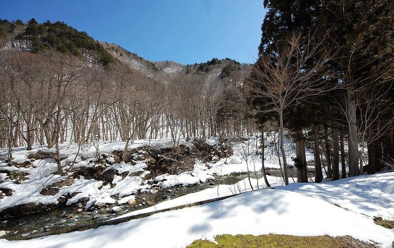 男性浴室より望む、青空と春の輝きに満ちた残雪の檜枝岐川渓谷の姿です(２０１９年３月１８日）。