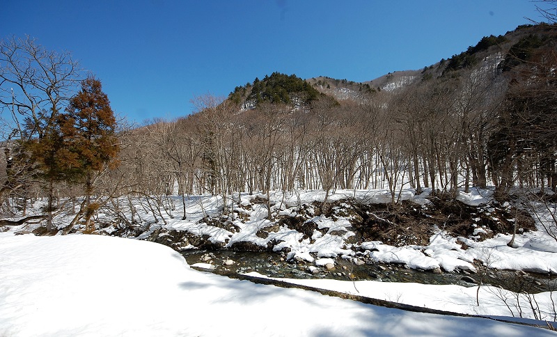 男性浴室より望む東の方角の檜枝岐川渓谷と山並みの画像です。鮮やかな原生林の新緑の景観に包まれる日まで、あと約一か月ほどです(２０１９年３月１８日）。