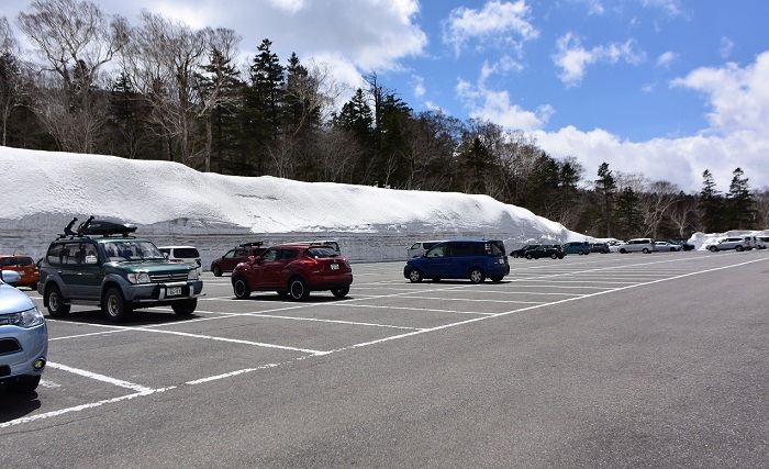 尾瀬御池登山口の残雪も少し多めに見えます。、雪解け後の美しい花々の季節も、雪が多い年程美しい花々が見られるという伝説もございますので、ぜひ多くの御客様に綺麗な水芭蕉やリュウキンカなどの花々を見ていただきたいと思います（２０１９年５月２日）。