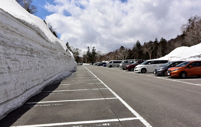 尾瀬御池登山口の雪の壁も今年は幾分高めかなというくらいですが、予想よりはやはり多いです（２０１９年５月２日）。