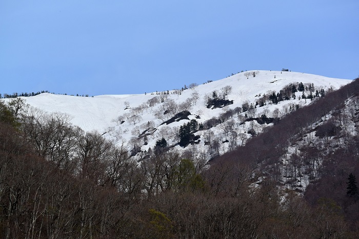 会津駒ケ岳の残雪の景観です。これから、まだまだ残雪の美しい景観を望んでの春山を楽しめそうですね。気温や天候の変化などにもご注意いただき、お気をつけて、光り輝く残雪の時期をお楽しみください（２０１９年５月５日）。


