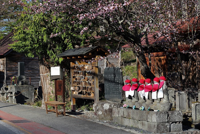 村内中心部にある六地蔵の桜も満開を迎えております(２０１９年５月８日）。