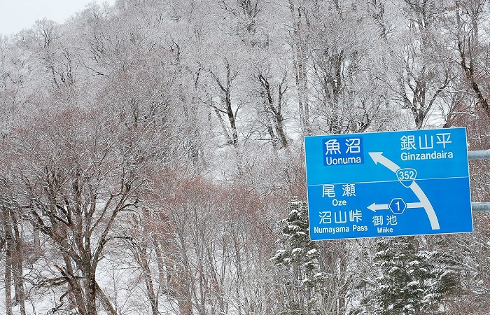 檜枝岐村村内は桜咲く春の良き季節を迎えておりますが、尾瀬御池登山口あたりのブナの原生林はこの日、霧氷に染まり、本当に綺麗な景観が見られました（２０１９年５月７日）。