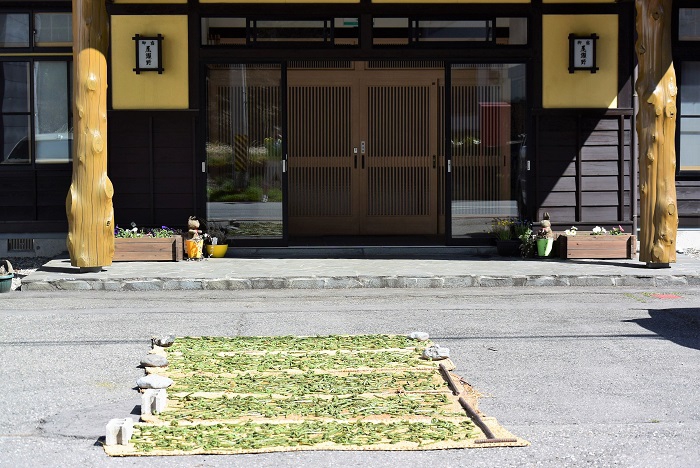 採ってきた山菜を天日でよく干して乾燥させ、お客様に食べていただくために保存します。平均約２日間くらいは良く乾燥させる必要があります。（天日で干すことにより味がとても深い味わいになります）。この日は、天候も良く暖かい一日で、初日としてはよく乾燥できました。