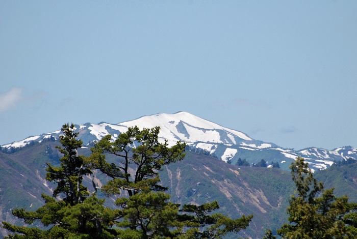 上田代湿原より望む越後駒ケ岳の景観です。晴れ渡る晴天の中で針葉樹林帯の奥に見る越後三山の景観は、本当に素晴らしく、裏燧林道ならではの景観です(２０１９年６月１３日）。