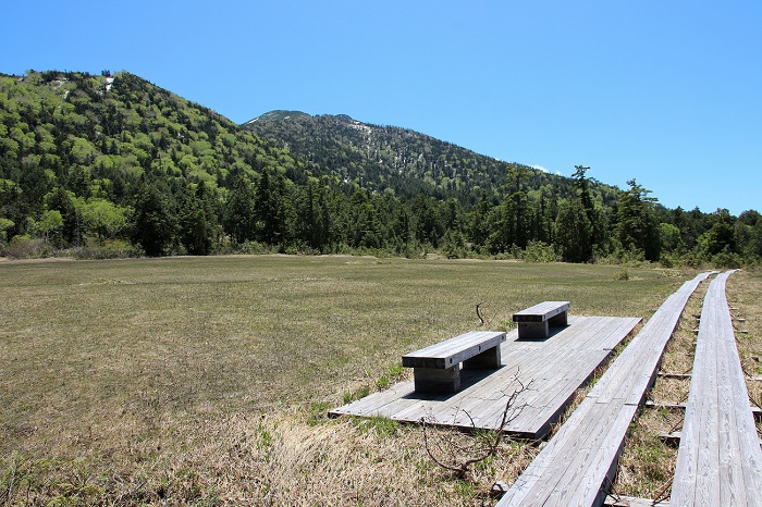 尾瀬国立公園・裏燧林道、上田代湿原手前のベンチの奥に東北以北の最高峰・燧ケ岳（標高２３５６ｍ）の新緑の姿を望む光景です。この湿原いっぱいにヒメシャクナゲやワタスゲやキンコウカなどが次から次へと咲き誇ってゆく花々の季節の移り変わりと、短い夏の季節が流れてゆくような光景は、まさに花の楽園・尾瀬そのものです。その可憐で美しい花の時期ももうすぐです。今年はどのような花々の季節になるのか今から楽しみです(２０１９年６月１３日）。